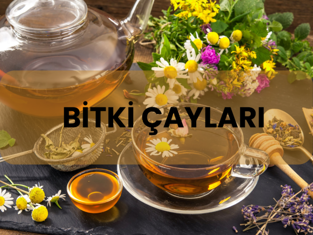 BİTKİ CAYLARI